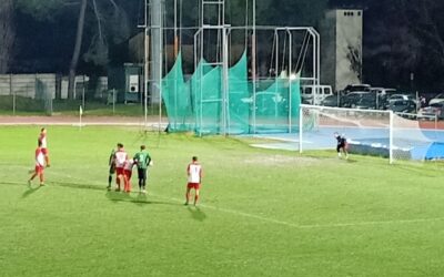 Sanvitese – FVB