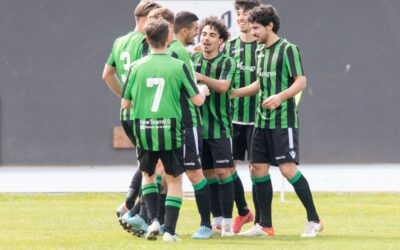 Pro Fagagna – FVB